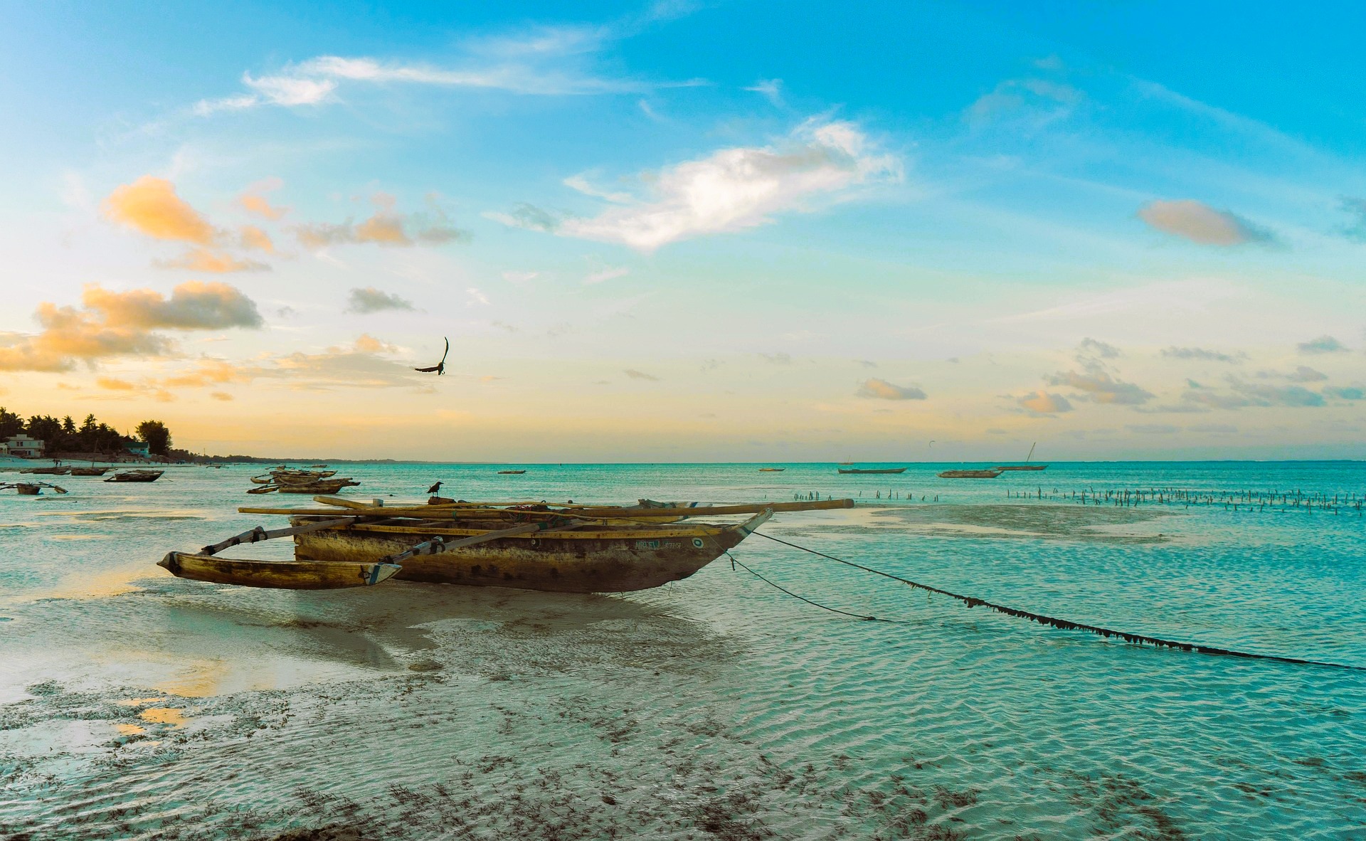 The Amber Hour: Best Things to Do in Zanzibar for the Patient Traveler